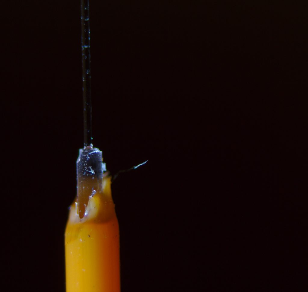 A single optical fibre lit from within