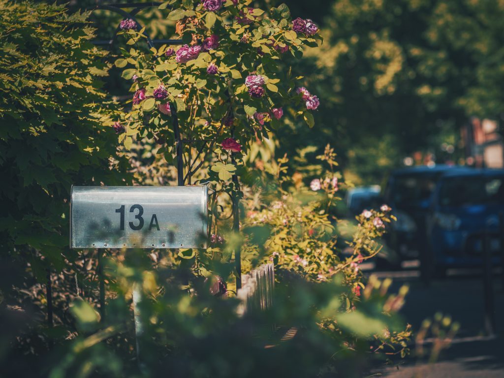 A suburban mailbox among garden flowers